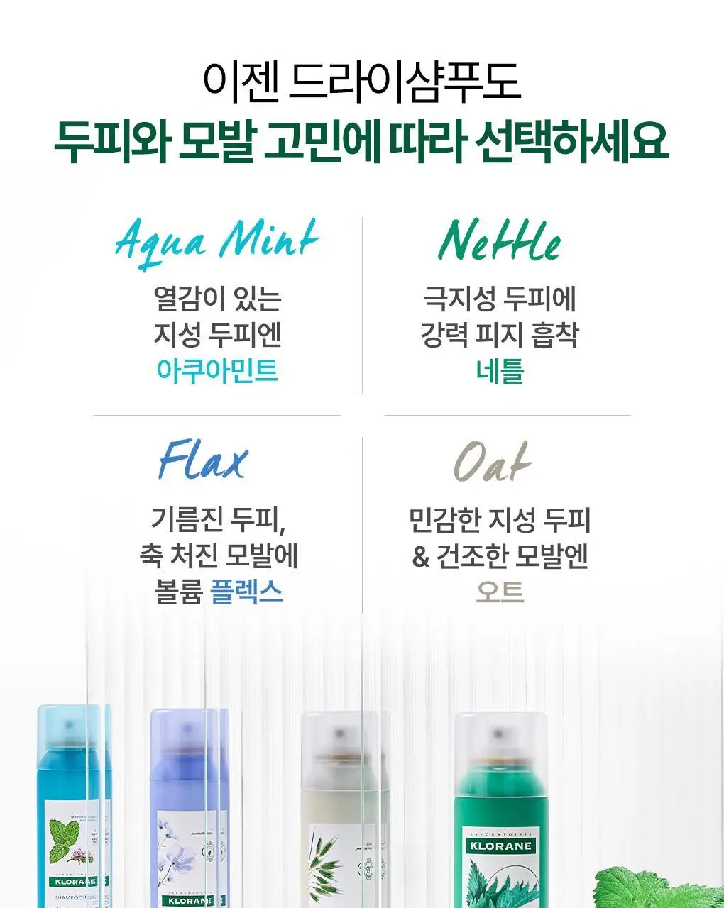 [지성두피&쿨링] 클로란 드라이샴푸 150ml 2종 (쿨세범/노세범) 상세페이지 31